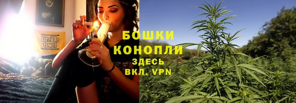 эйфоретик Баксан
