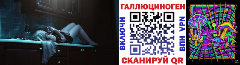 закладка  Гаврилов-Ям  Псилоцибиновые грибы мицелий 